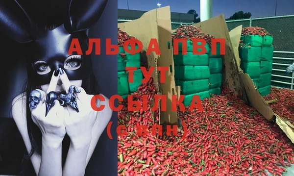 дмт Абаза