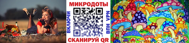 Галлюциногенные грибы Magic Shrooms  ссылка на мегу tor  Новотроицк 