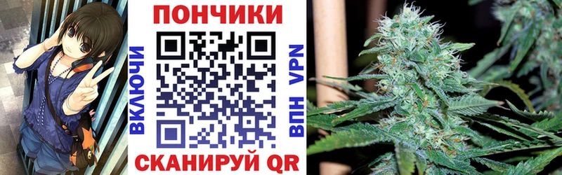 Марихуана THC 21%  Новотроицк 